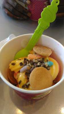 Menchie's Frozen Yogurt