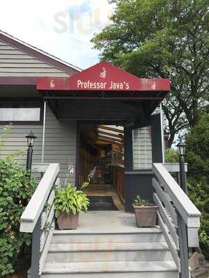 Professor Java's Coffee Sanctuary