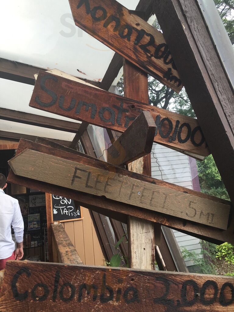 Professor Java's Coffee Sanctuary