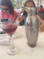 Purple Penguin Cafe