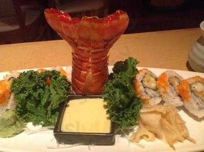Sushi Ray