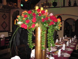 Chinar On The Island