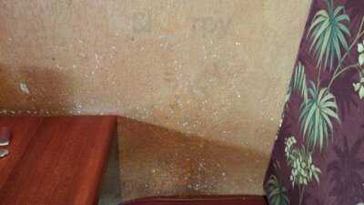 El Toro Mexican Restaurant