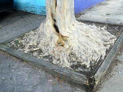 Devine's Restaurant & Sports Bar