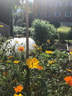 Belle Haven Pizzeria