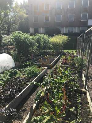 Belle Haven Pizzeria