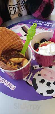 Menchie's Frozen Yogurt