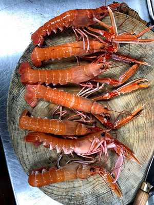 Precious Island Tea Shop