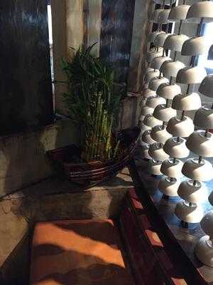 Fuji Steak & Sushi Tennessee