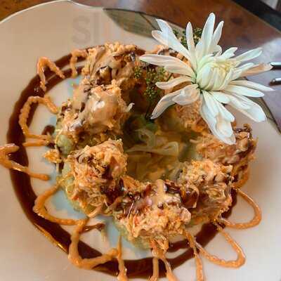 Wayo Sushi Bar & Grill