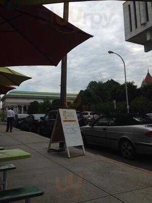 Fresh Greens At The Park