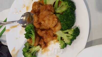 Nature Vegetarian Restaurant