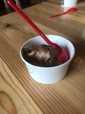 Black Bear Frozen Yogurt And Espresso 6th Ave Tacoma