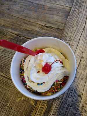 Black Bear Frozen Yogurt And Espresso 6th Ave Tacoma