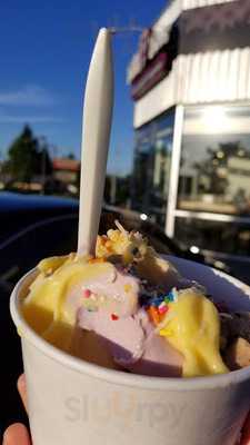Black Bear Frozen Yogurt And Espresso 6th Ave Tacoma