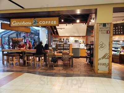 Caribou Coffee