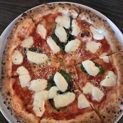 Midici The Neopolitan Pizza Company