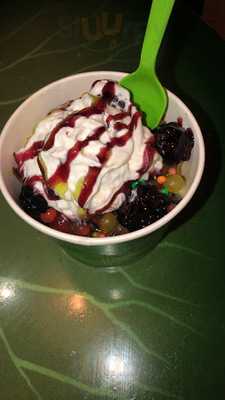 Sweet Frog Chattanooga