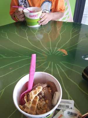 Sweet Frog Chattanooga