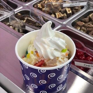Spiralz Frozen Yogurt Bar