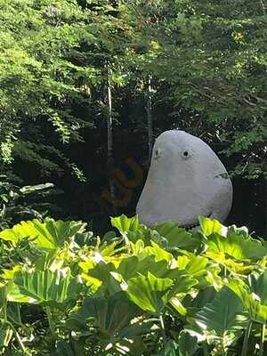 Fratelli Lyon At The Norton