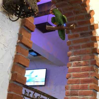 Pelanchos Mexican Grill