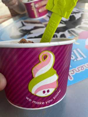 Menchie's Frozen Yogurt