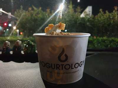 Yogurtology