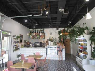 Southern Squeeze - North Chattanooga