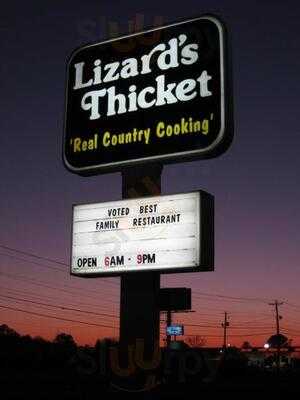 Lizard's Thicket