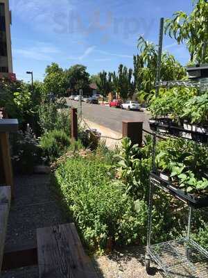 Great Basin Comm Food Co-op