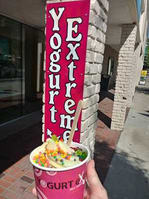 Yogurt Extreme