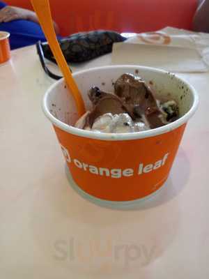 Orange Leaf Self Serve Frozen Yogurt Tiverton