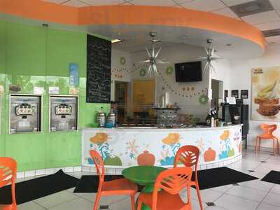 Tutti Frutti Frozen Yogurt