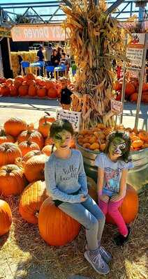 Nick's Garden Center & Farm Market