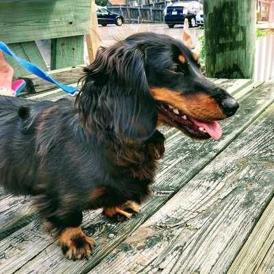 Willoughby By The Bay