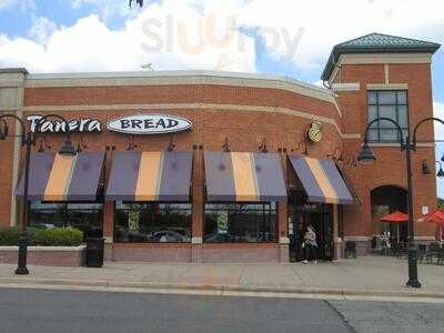 Panera Bread