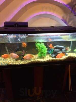 Ichiban Asian Cuisine