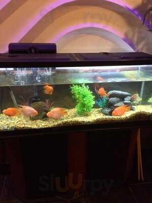 Ichiban Asian Cuisine