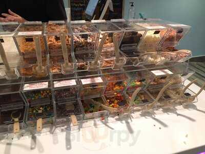 Iceburg Frozen Yogurt