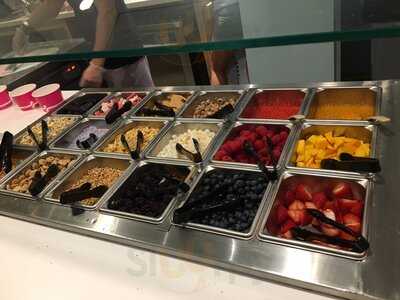 Iceburg Frozen Yogurt