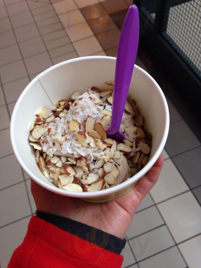 Zack's Famous Frozen Yogurt