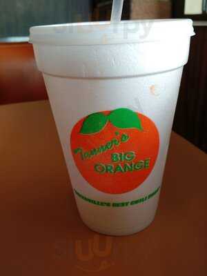 Tanner's Big Orange