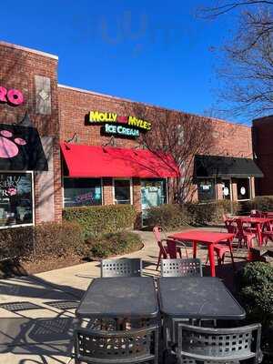 Molly And Myles Ice Cream