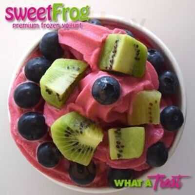 Sweetfrog Premium Frozen Yogurt