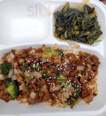 The Reizod Vegan Experience