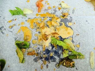 Philly Steak Factory