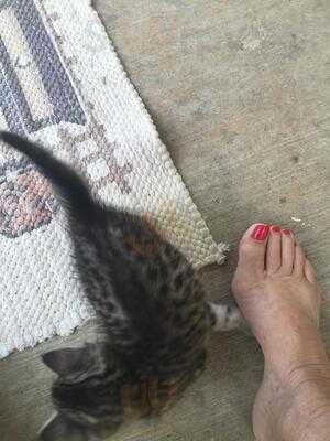 New China Restaurant