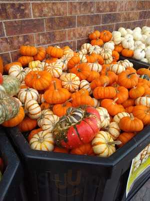 Super Saver, 48th & O