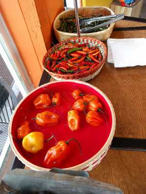 Chile Jalapeno Taqueria